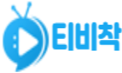티비착 티비착.png