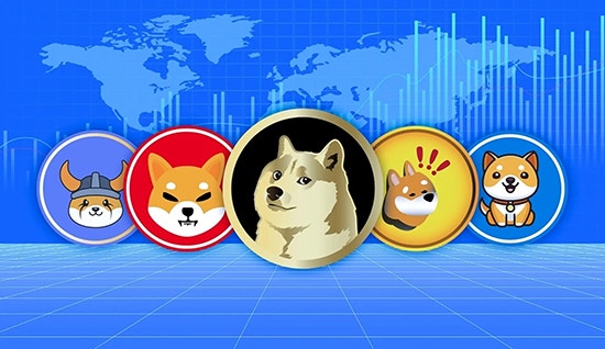 56f8b5ab3811b73d4d0ce21af61112c4_1735883900_5902.jpg 56f8b5ab3811b73d4d0ce21af61112c4_1735883900_5902.jpg
