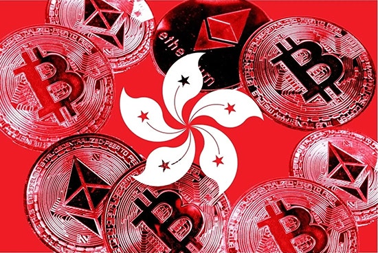 89a5ba05e8063ff475b18fe759e2879c_1739784543_7384.jpg 89a5ba05e8063ff475b18fe759e2879c_1739784543_7384.jpg