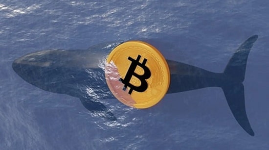 6238179f0e523f74e44e410589eaaa97_1756088718_0117.jpg